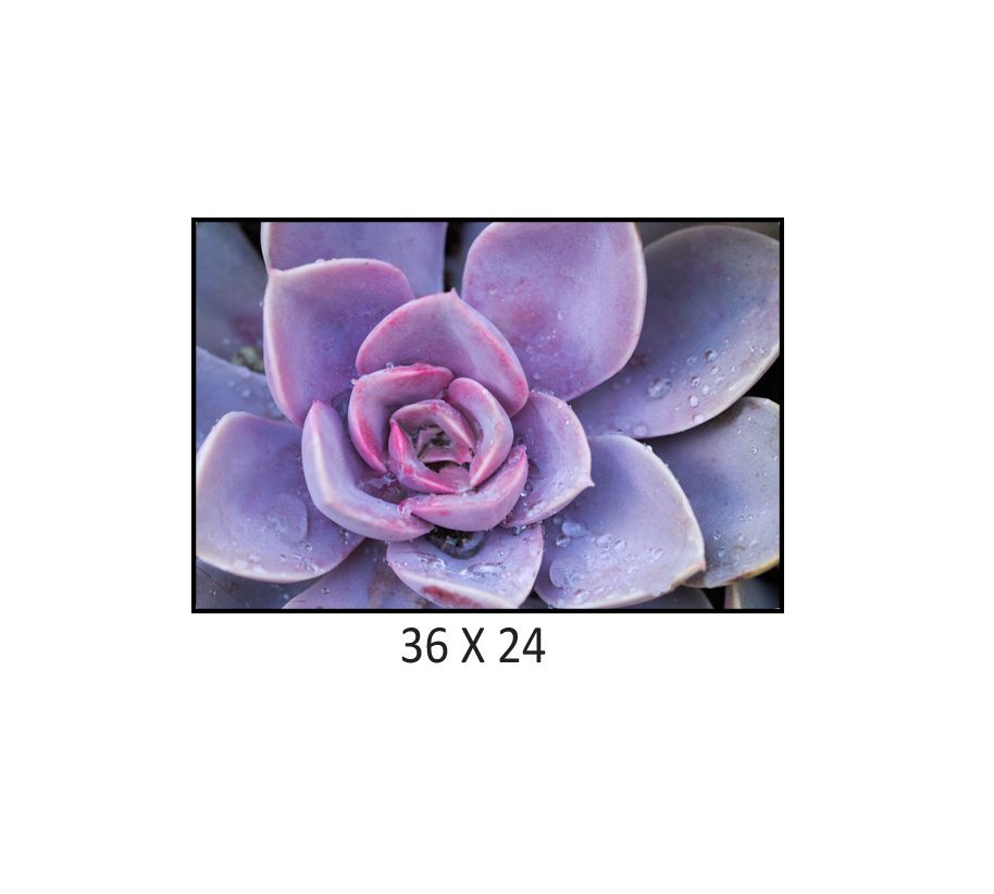 Mix and Match Singles Rectangles ART60 (36in x 24in)